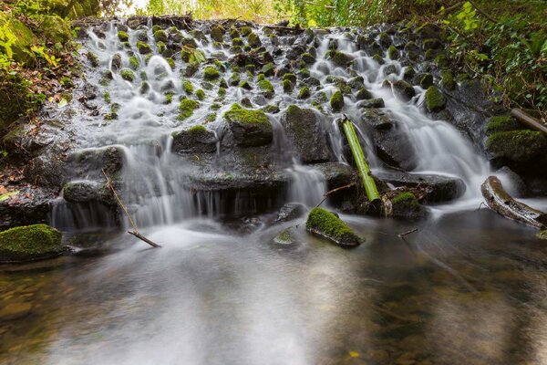 Флизелинов фототапет парк марлей, ирландия 375 x 250 см