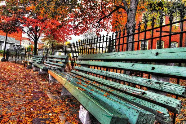 Флизелинов фототапет градска пейка 375 x 250 см