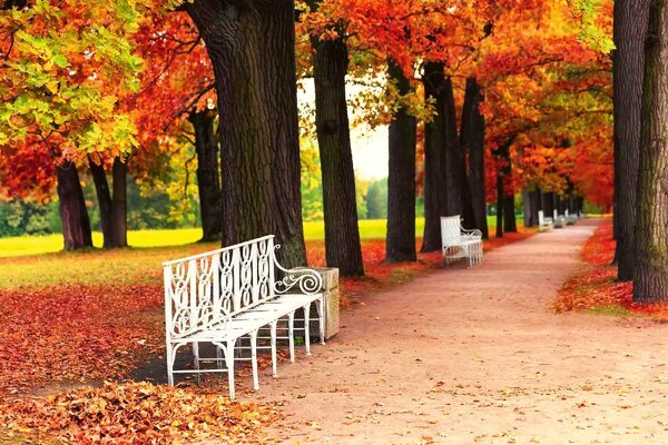 Флизелинов фототапет бяла пейка в парка 375 x 250 см