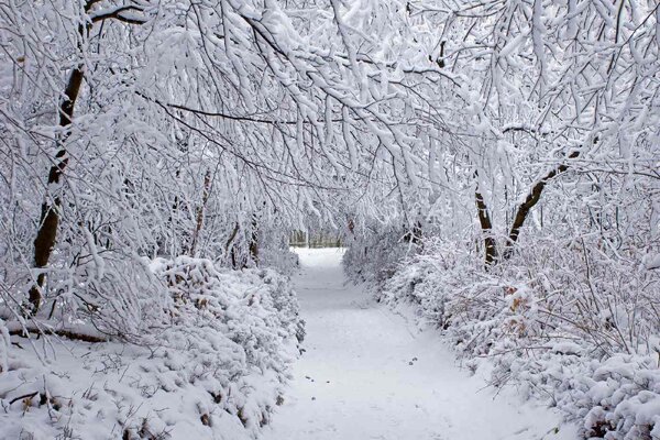 Флизелинов фототапет зимна гора 375 x 250 см