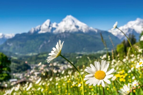 Флизелинов фототапет художествена гледка към алпите 375 x 250 см