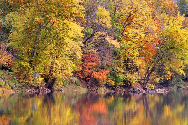 Флизелинов фототапет отражение на есенен пейзаж 375 x 250 см