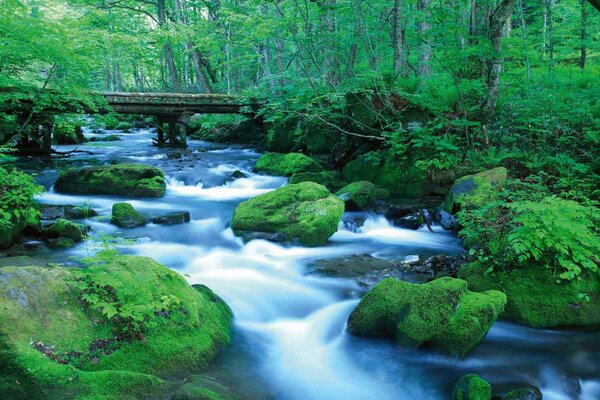 Флизелинов фототапет горски поток 375 x 250 см
