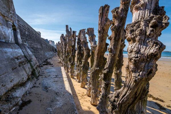 Флизелинов фототапет печалба на брега 375 x 250 см
