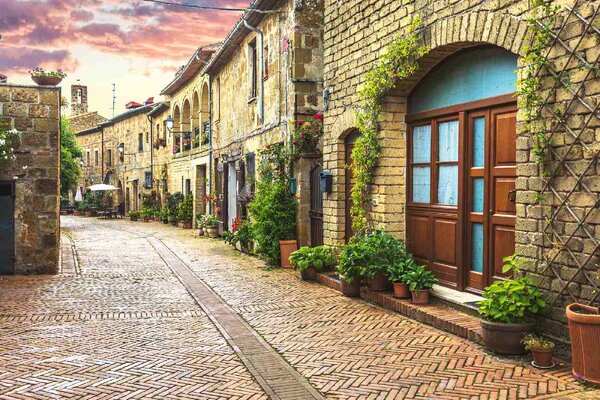 Флизелинов фототапет улица, пълна с цветя 375 x 250 см