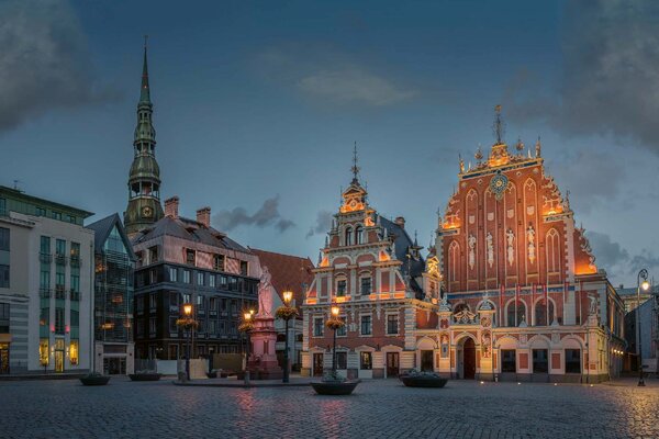 Флизелинов фототапет къщата на черноглавите 375 x 250 см