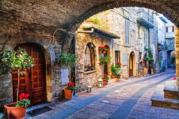 Флизелинов фототапет асиси умбрия 375 x 250 см