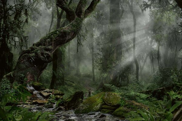 Флизелинов фототапет гора в тъмнина 375 x 250 см