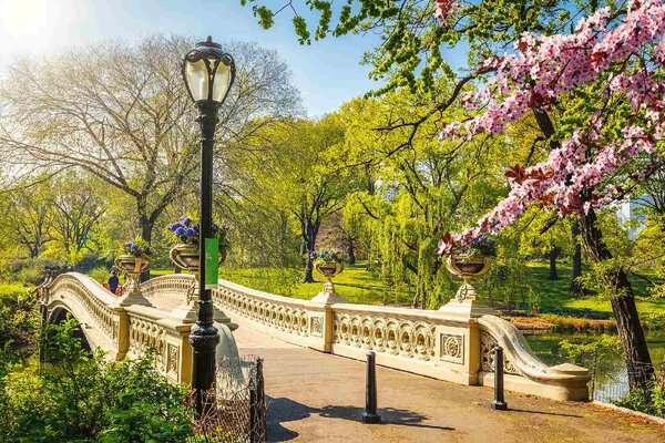Флизелинов фототапет мост в сентръл парк 375 x 250 см