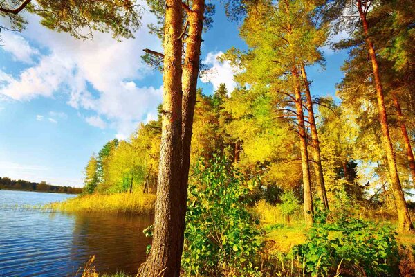 Флизелинов фототапет слънчева гора 375 x 250 см