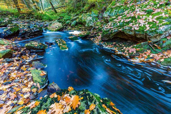 Флизелинов фототапет есенни порои 375 x 250 см