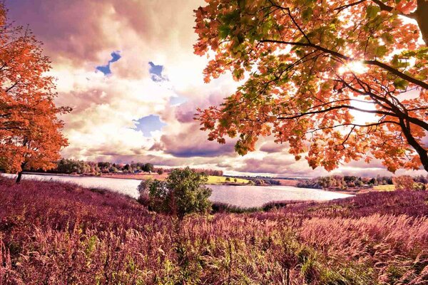 Флизелинов фототапет есенна кленова гора 375 x 250 см