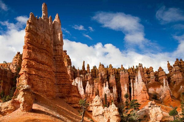 Флизелинов фототапет национален парк 375 x 250 см