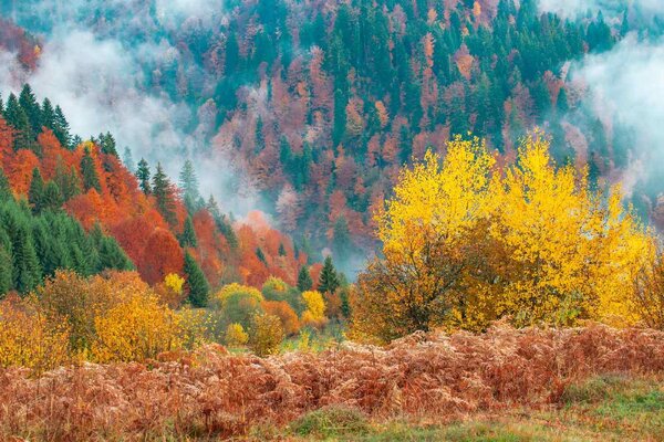 Флизелинов фототапет красив горски пейзаж 375 x 250 см