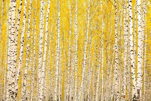 Флизелинов фототапет жълта бреза 375 x 250 см