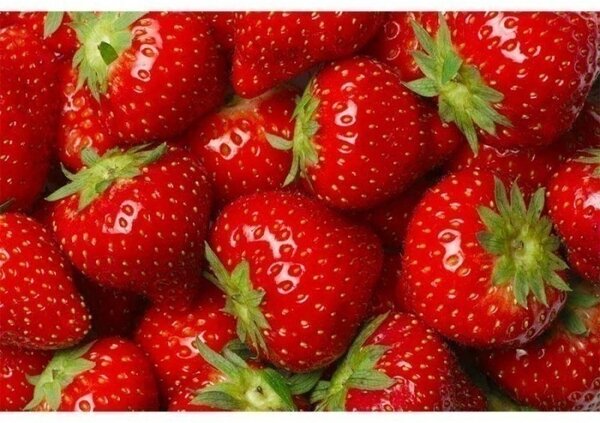 Флизелинов фототапет ягоди 375 x 250 см