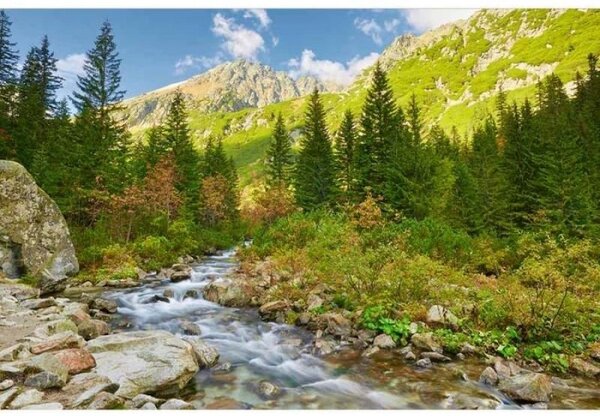 Флизелинов фототапет долина 375 x 250 см