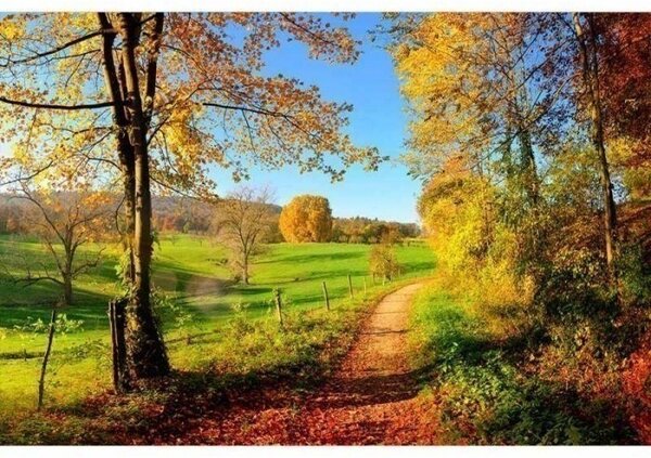 Флизелинов фототапет ливада 375 x 250 см