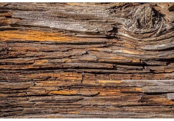 Флизелинов фототапет кора на дърво 375 x 250 см