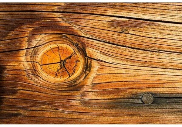 Флизелинов фототапет дървен възел 375 x 250 см