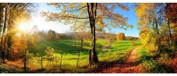 Панорамни флизелинов фототапет ливада 375 x 150 см