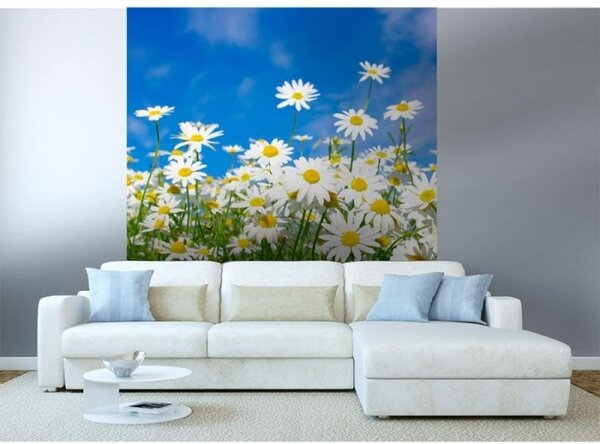 Флизелинов фототапет маргаритки 225 x 250 см