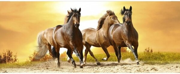 Панорамни флизелинов фототапет коне при залез слънце 375 x 150 см