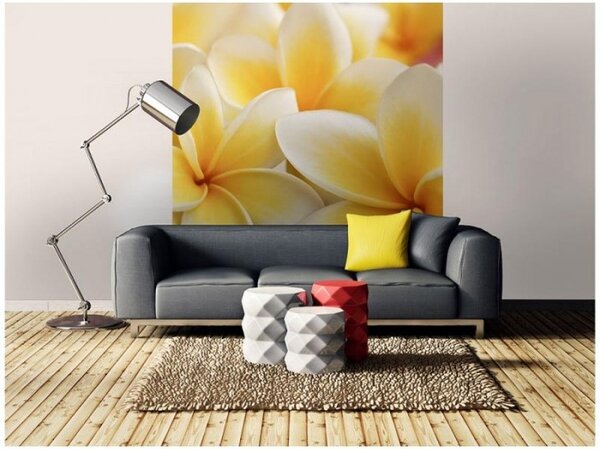 Флизелинов фототапет плумерия 225 x 250 см
