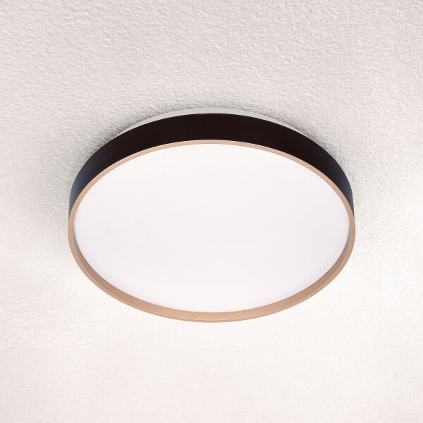 Brilagi - LED таванно осветително тяло CALA LED/24W/230V