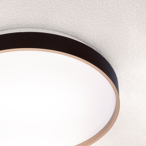 Brilagi - LED таванно осветително тяло CALA LED/24W/230V
