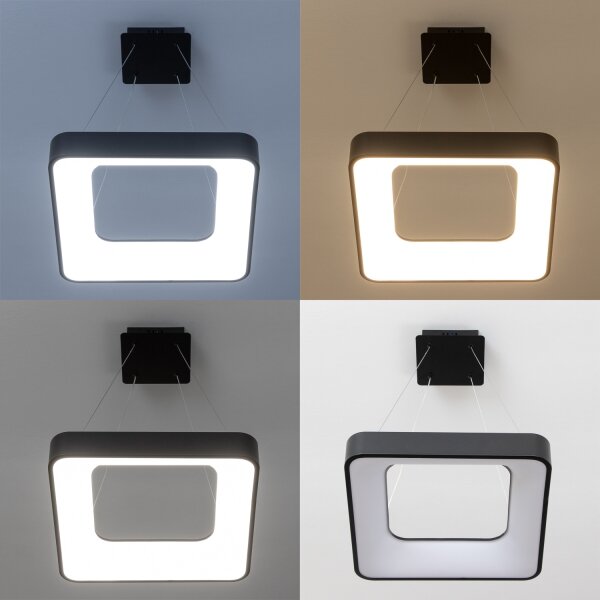 Brilagi - LED полилей на кабел FALCON II, с възможност за димиране, LED/80W/230V 40x40 cm, черен + дистанционно управление
