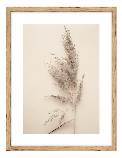 Картина 30x40 cm Grass – knor