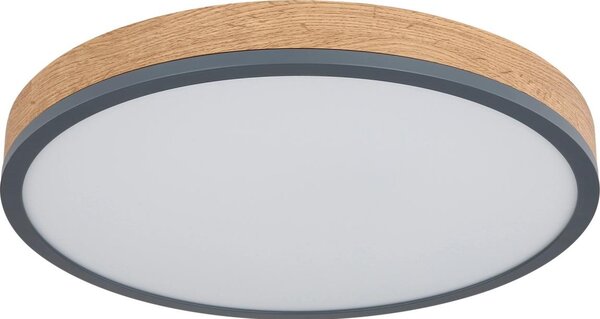 Globo 416080WD2R-CCT-LED Димируемо таванно осветително тяло DORO 24W/230V 3000-6500K Ø 45 см