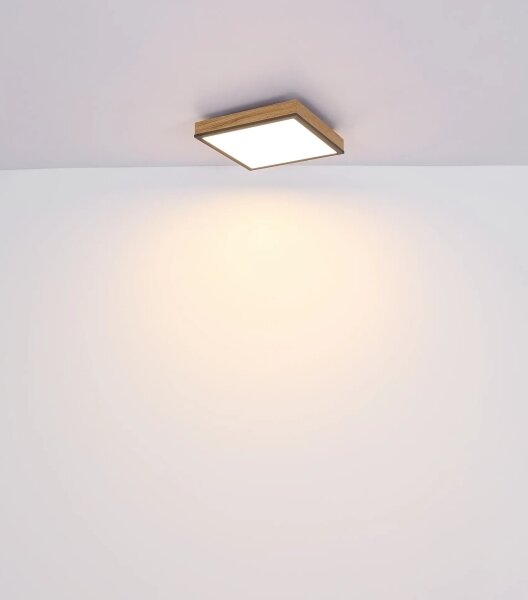 Globo 416080WD2-CCT - LED димируемо таванно осветително тяло DORO 24W/230V 3000-6500K 45x45 cm