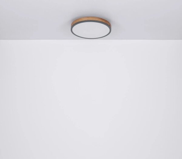 Globo 416080WD2R-CCT-LED Димируемо таванно осветително тяло DORO 24W/230V 3000-6500K Ø 45 см