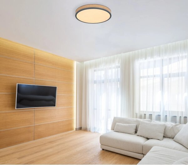 Globo 416080WD2R-CCT-LED Димируемо таванно осветително тяло DORO 24W/230V 3000-6500K Ø 45 см