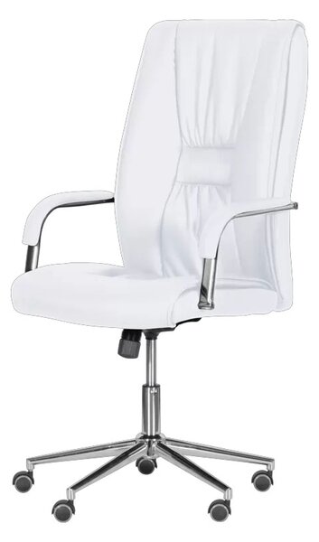 ПРЕЗИДЕНТСКИ ОФИС СТОЛ CARMEN 6500-1 БЯЛ