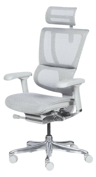 ЕРГОНОМИЧЕН СТОЛ ERGOHUMAN IOO ELITE 2 - СИВ