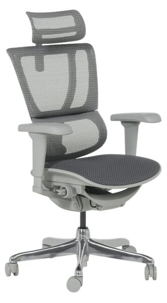 ЕРГОНОМИЧЕН ОФИС СТОЛ ERGOHUMAN IOO ULTRA - СИВ - M/TEX - СИВА РАМКА
