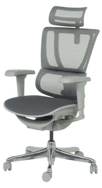 ЕРГОНОМИЧЕН ОФИС СТОЛ ERGOHUMAN IOO ULTRA - СИВ - M/TEX - СИВА РАМКА