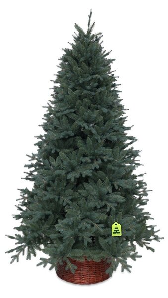 Изкуствена коледна елха височина 150 cm Silver Spruce – Můj Stromeček
