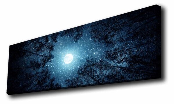 Картина с LED осветление Urban Denizen Многоцветна 30x90 см