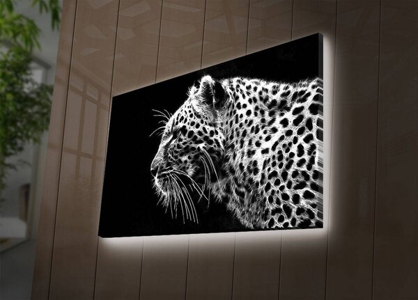Картина с LED осветление 4570DACT Многоцветна 45x70 см