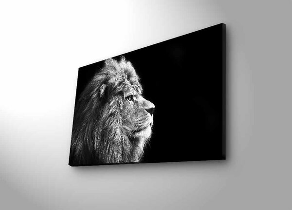Картина с LED осветление 4570DHDACT Многоцветна 45x70 см