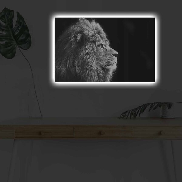 Картина с LED осветление 4570DHDACT Многоцветна 45x70 см
