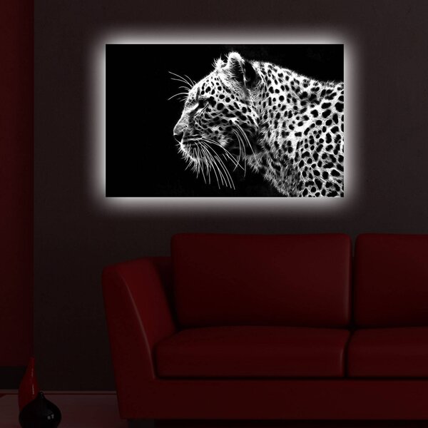 Картина с LED осветление 4570DACT Многоцветна 45x70 см