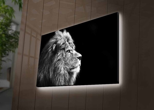 Картина с LED осветление 4570DHDACT Многоцветна 45x70 см