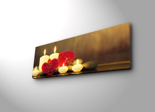 Картина с LED осветление 3090İACT Многоцветна 30x90x3 см