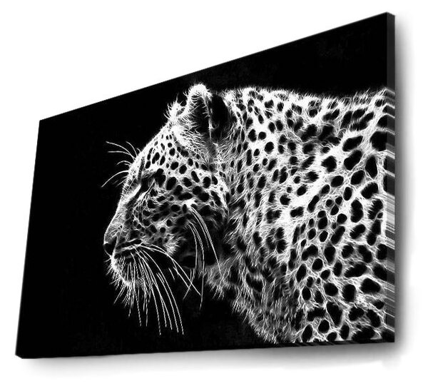 Картина с LED осветление 4570DACT Многоцветна 45x70 см