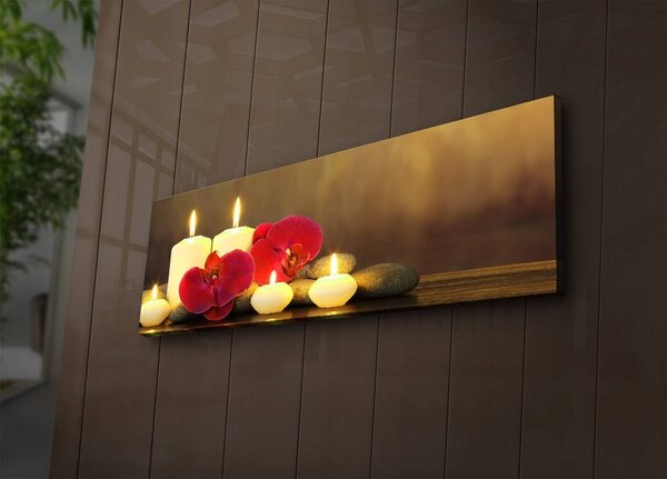 Картина с LED осветление 3090İACT Многоцветна 30x90x3 см